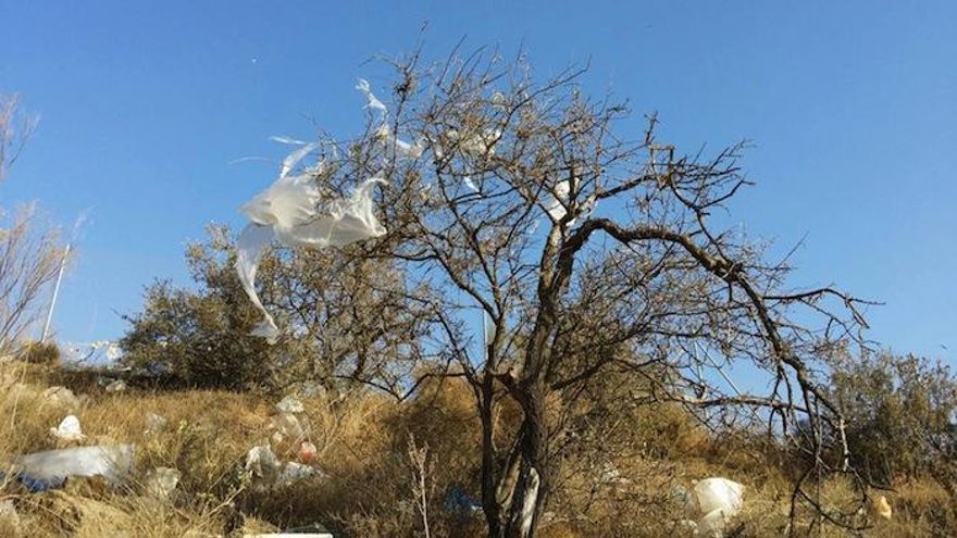 Los árboles de la barriada, ´nevados´ por las bolsas de basura.