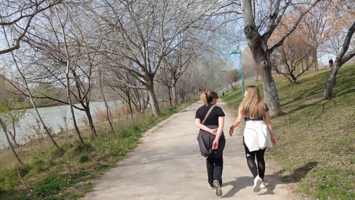 Paseo matutino por la margen izquierda del Ebro