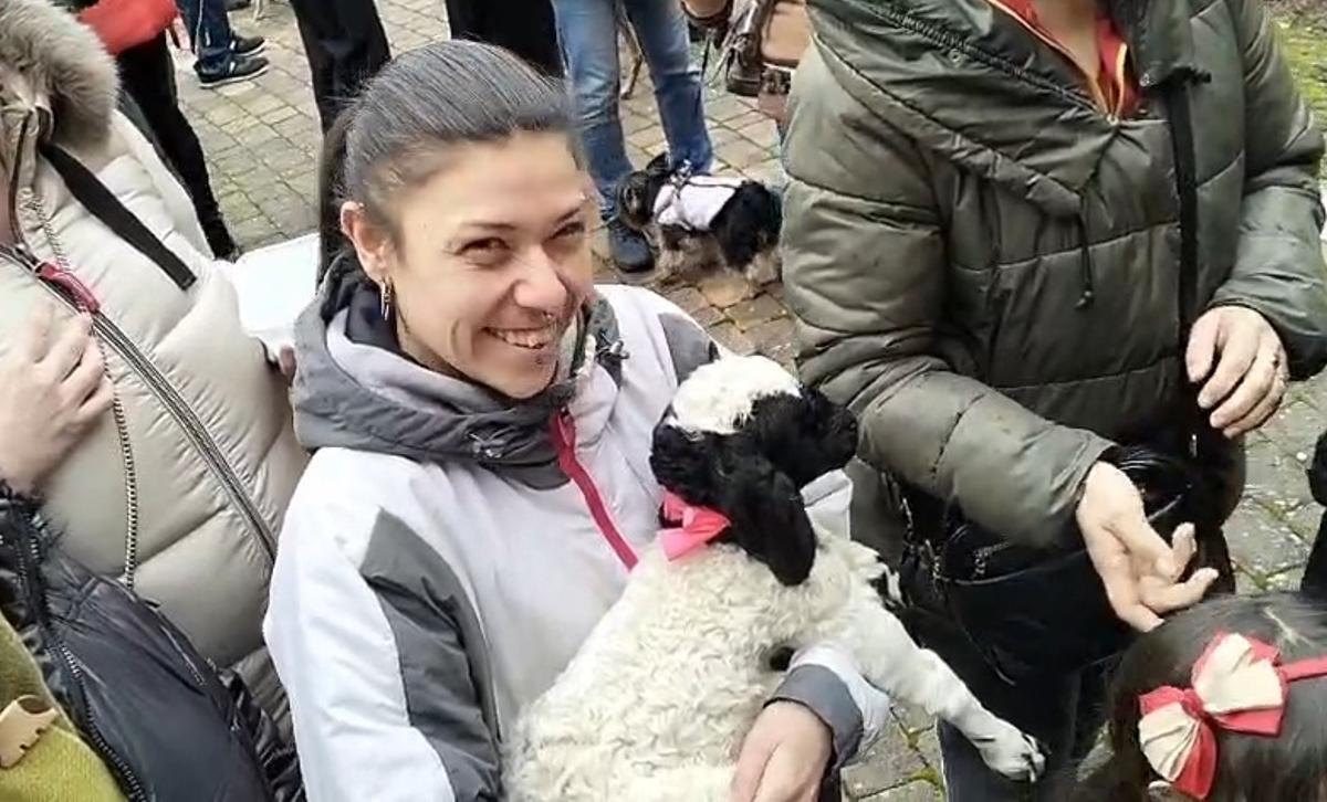 Celebración de San Antón, en Benavente.