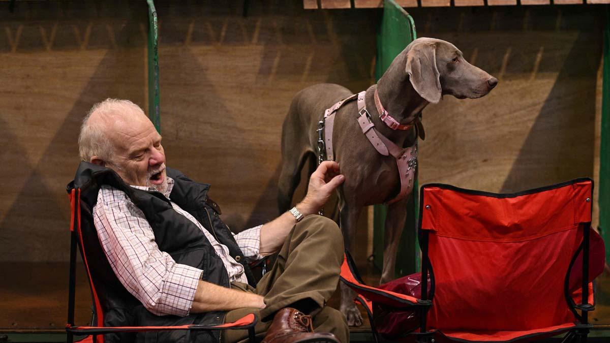 Exposición canina en el Centro Nacional de Exposiciones de Birmingham