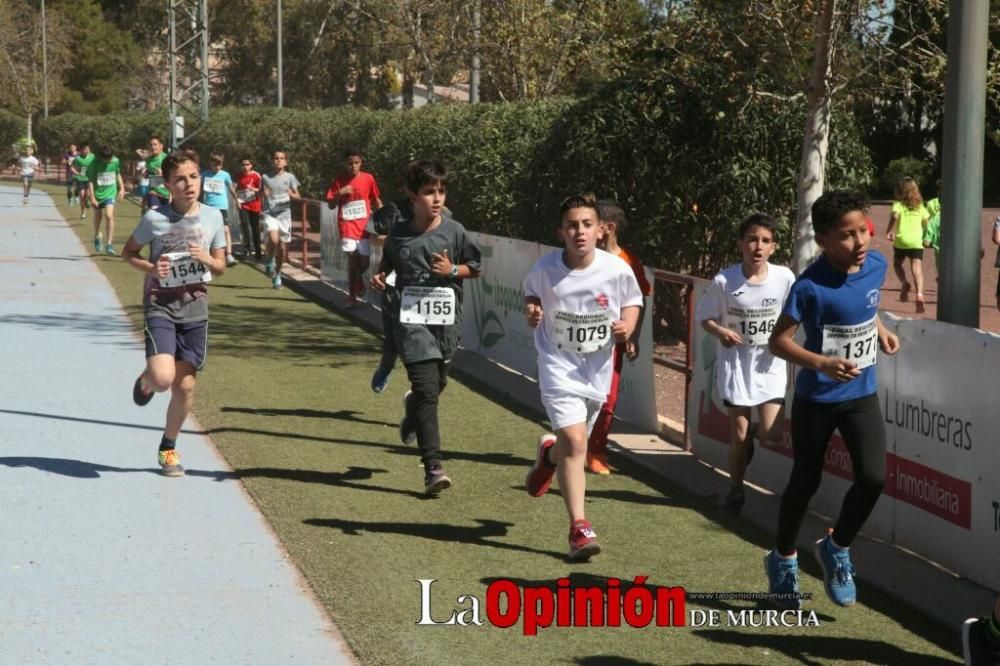 Final Cross Escolar de Lorca . Alevín masculino