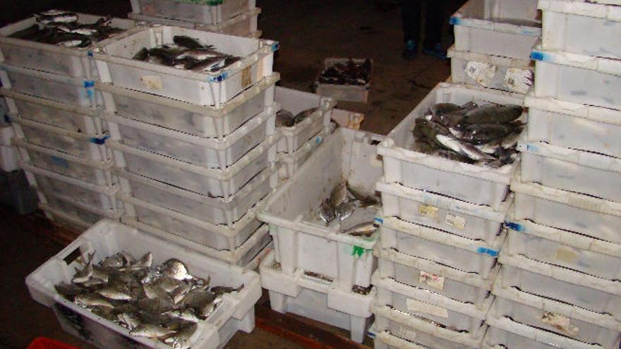 Imagen de las cajas con el pescado intervenido en Gran Canaria.
