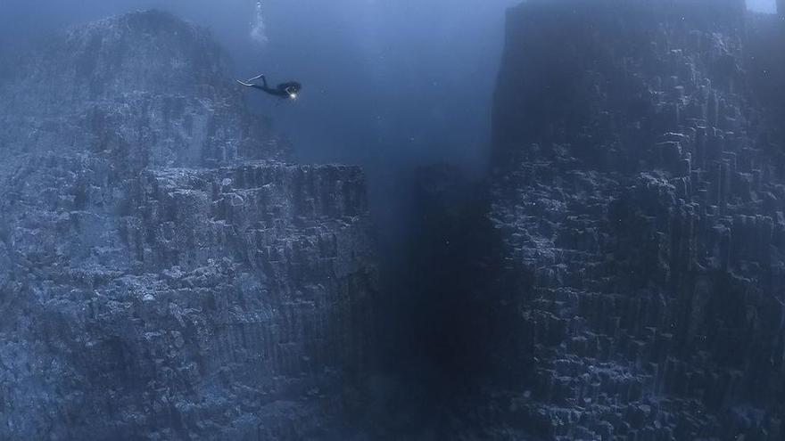 Un tesoro bajo el mar de Tenerife