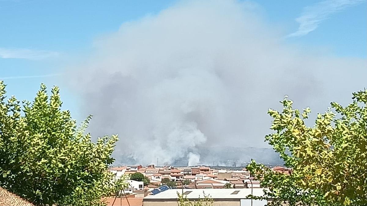 Fotogalería | Las imágenes del incendio en Las Navas, en Herrera del Duque