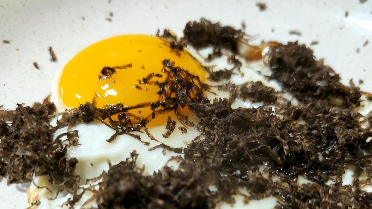 Huevo frito y trufa.