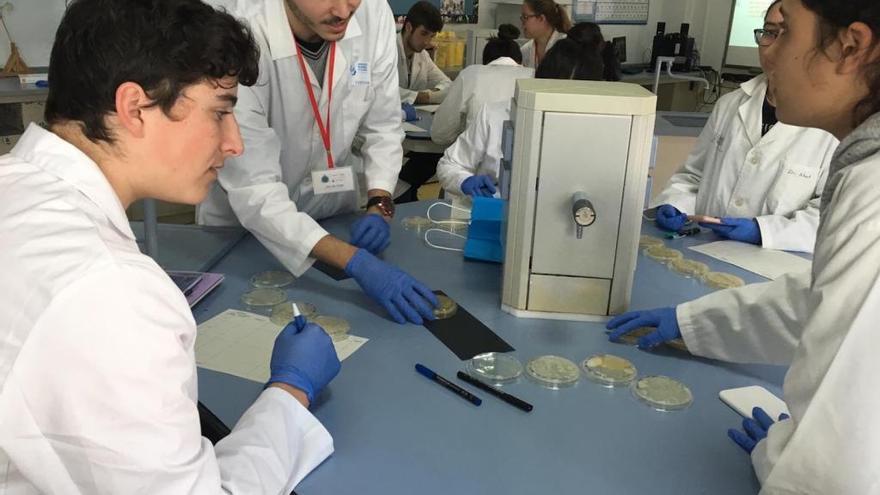 Los estudiantes, durante el proceso de trabajo