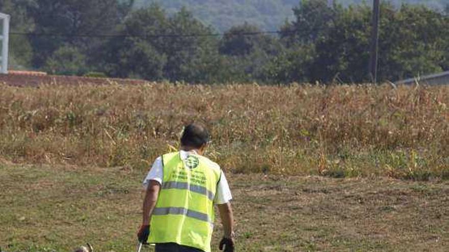 Un camión llena con cabezas de vaca la N-525 en Silleda