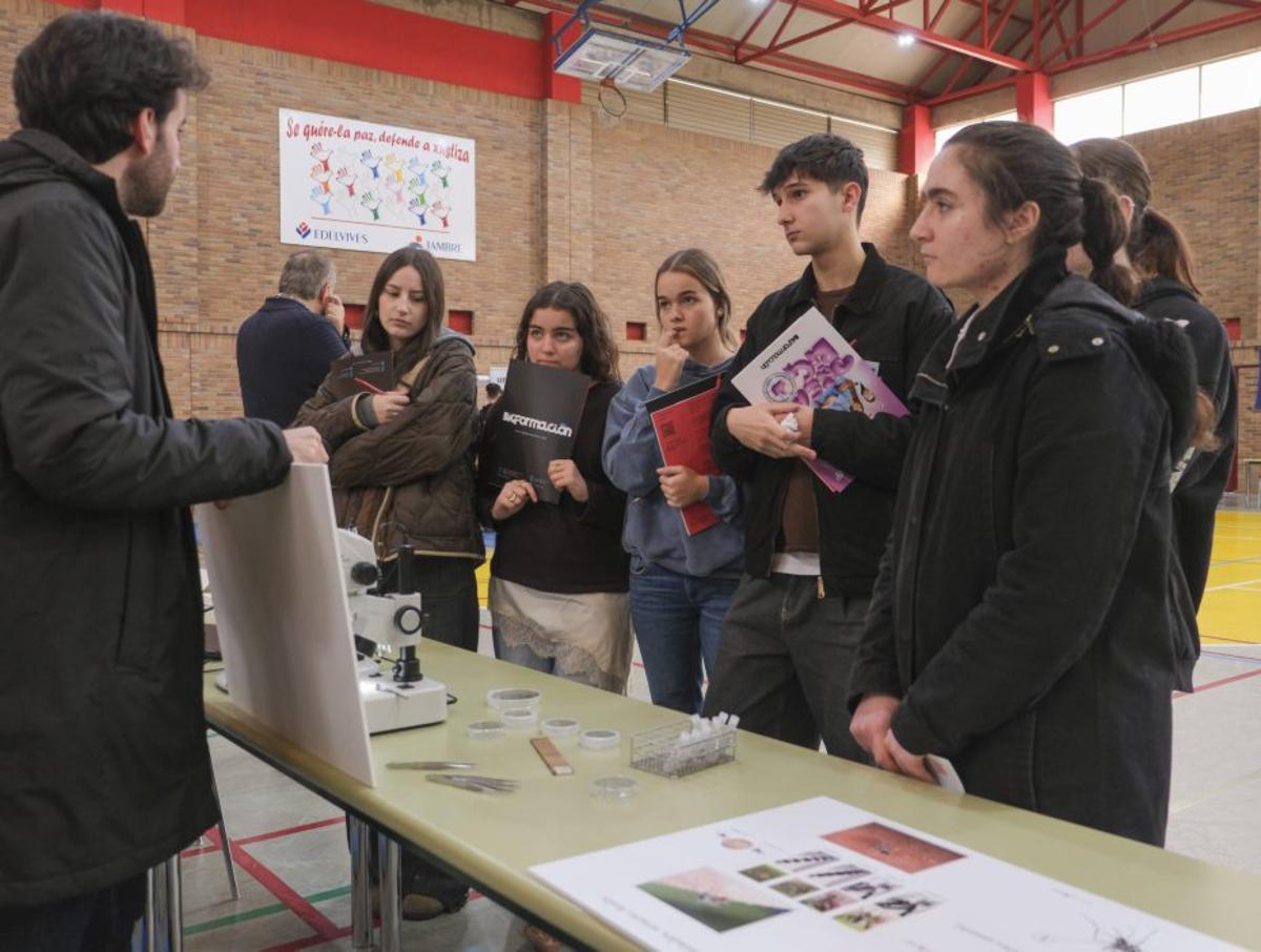 Un grupo de alumnos se interesa por una de las titulaciones | ROI CRUZ