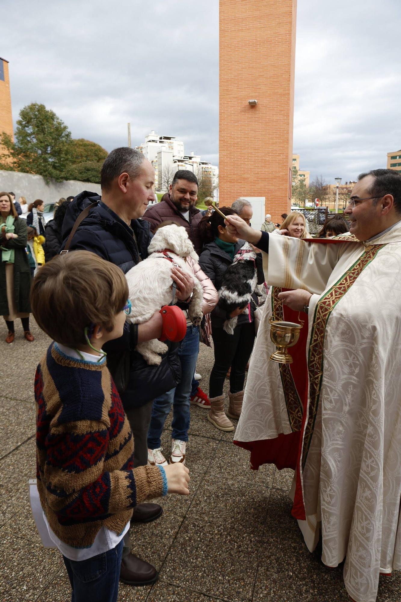 Bendición mascotas en Gijón en la parroquia de Viesques
