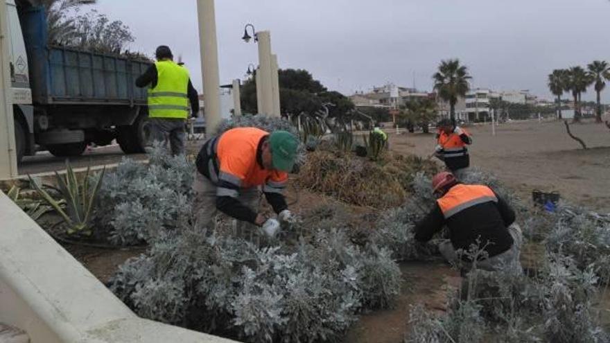 Xilxes mejora el entorno del paseo marítimo