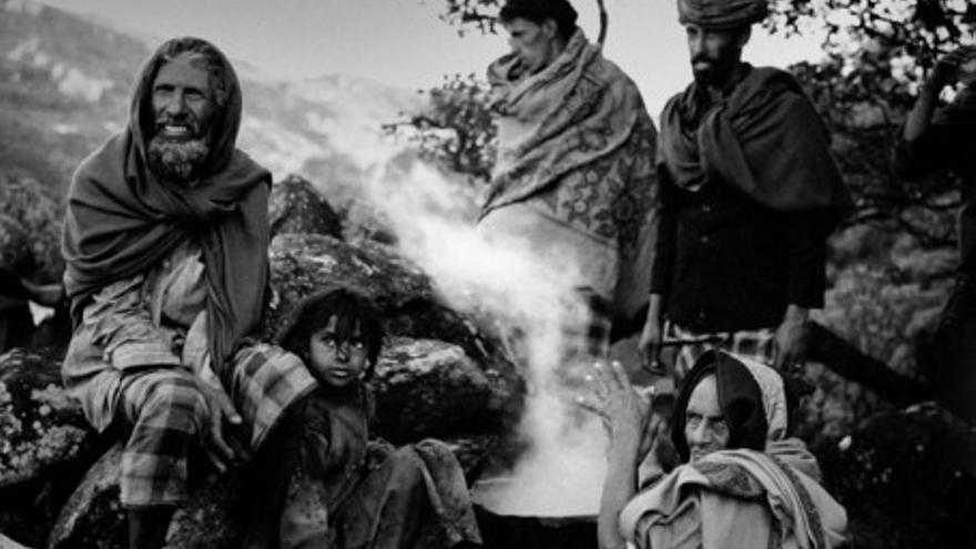 Socotra, l&amp;#39;illa dels djinns