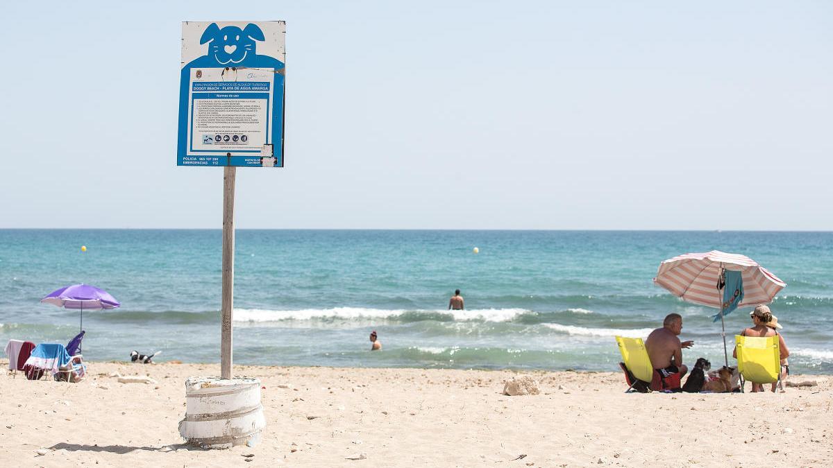 Compromís denuncia el abandono de la playa canina de Agua Amarga