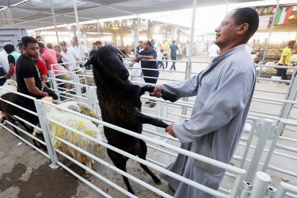 Fiesta musulmana del Cordero, el Eid al Adha