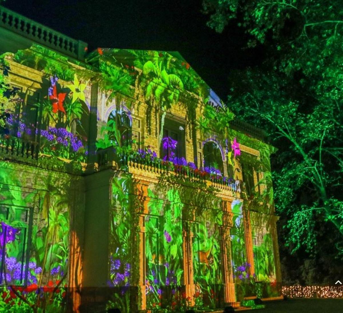 Las  Luces del Botánico es un espectáculo que ilumina la navidad malagueña hasta el 8 de enero