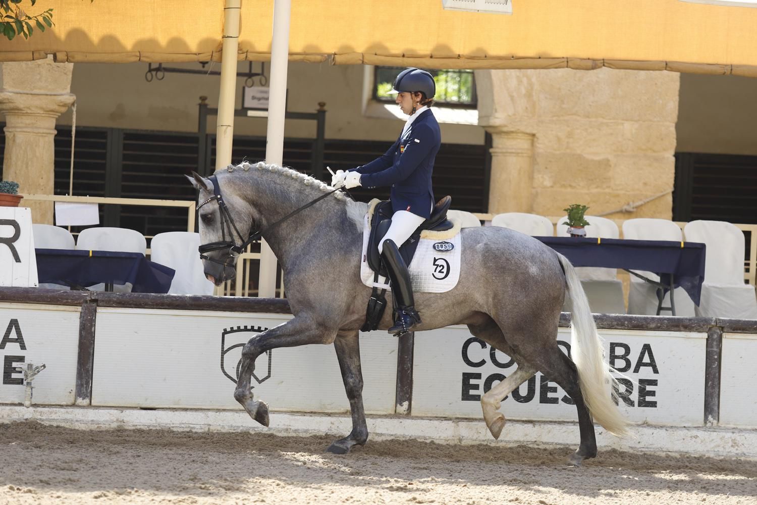 Campeonato de Europa del Caballo Lusitano