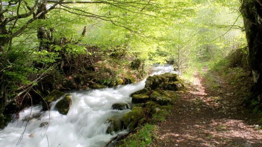 Foto de Los Garrafes en Quirós, Asturias