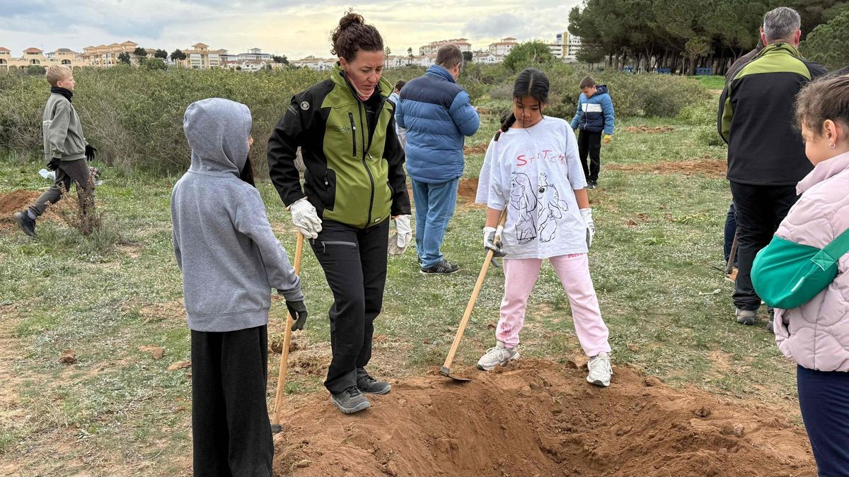Plantación de especies autóctonas en una parcela anexa al parque natural
