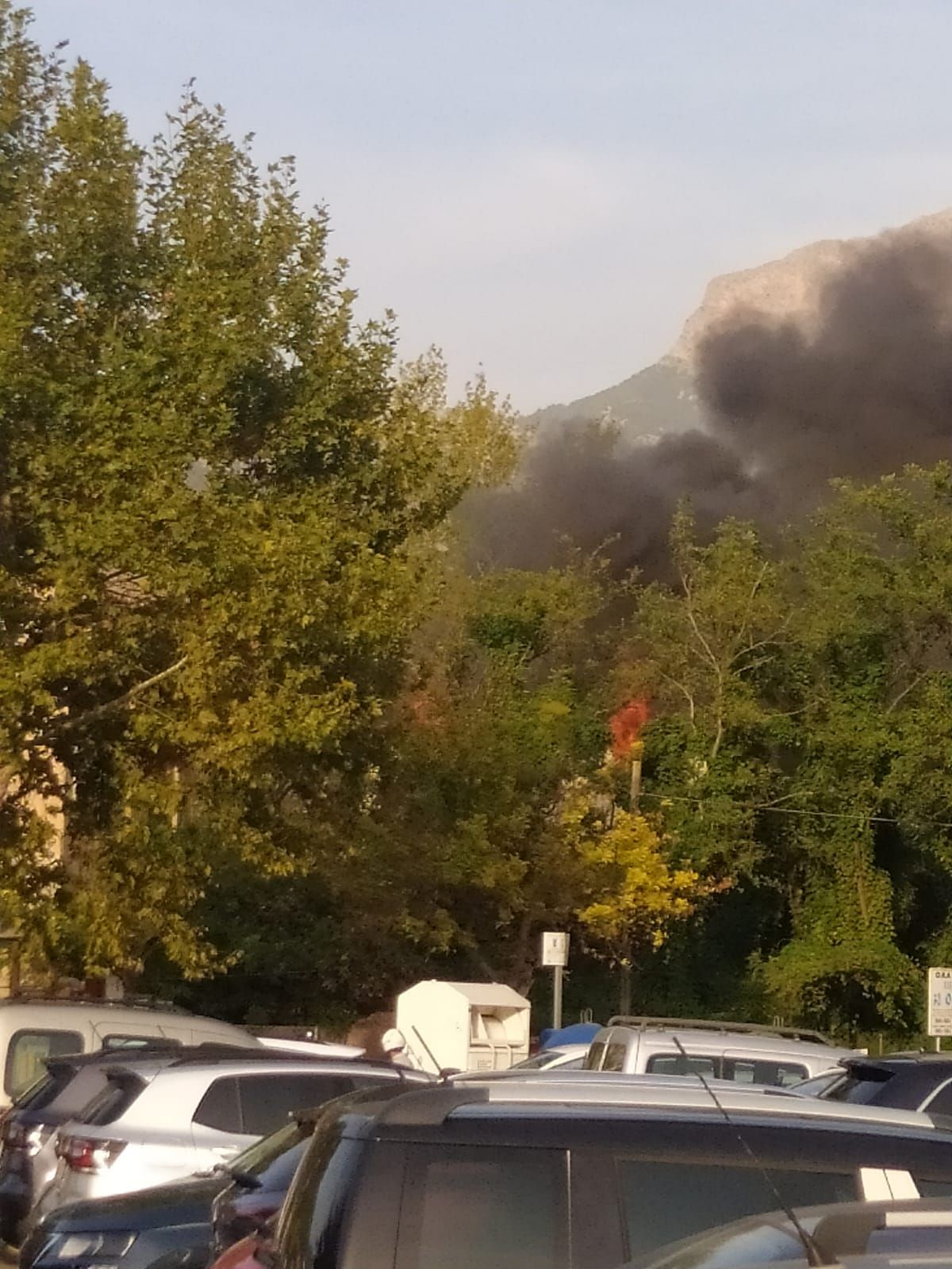 Un incendio intencionado destruye las oficinas de la Fàbrica Nova de Sóller