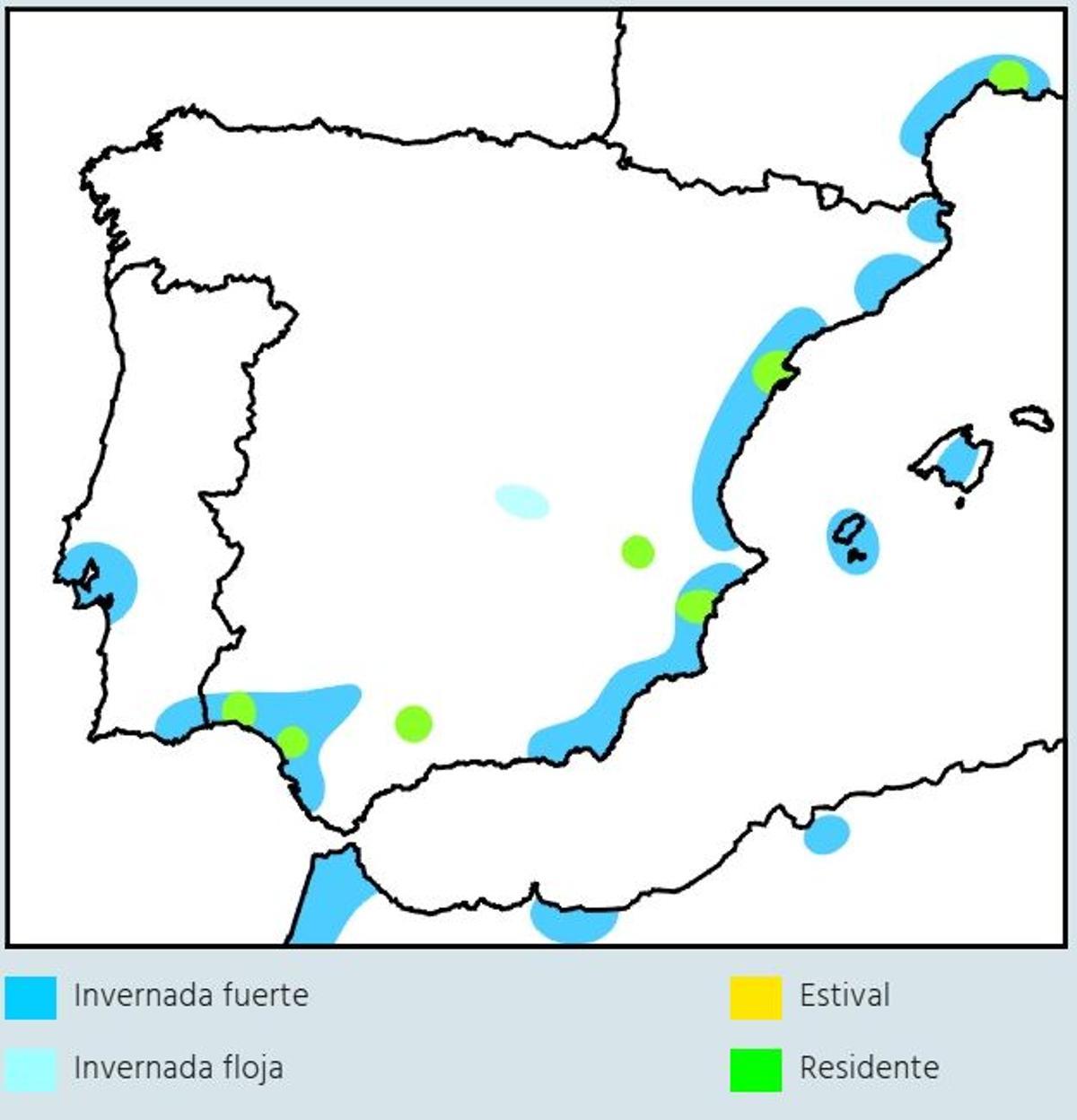 Distribución del flamenco en la Península, Baleares y norte de África