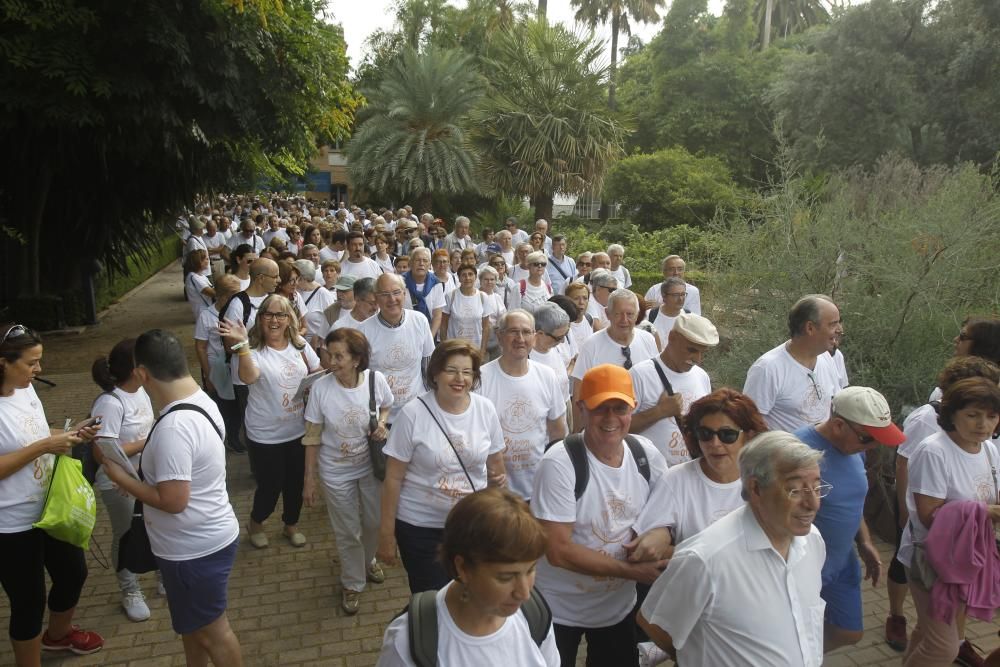 Paseo saludable por el Día Internacional de las Personas Mayores