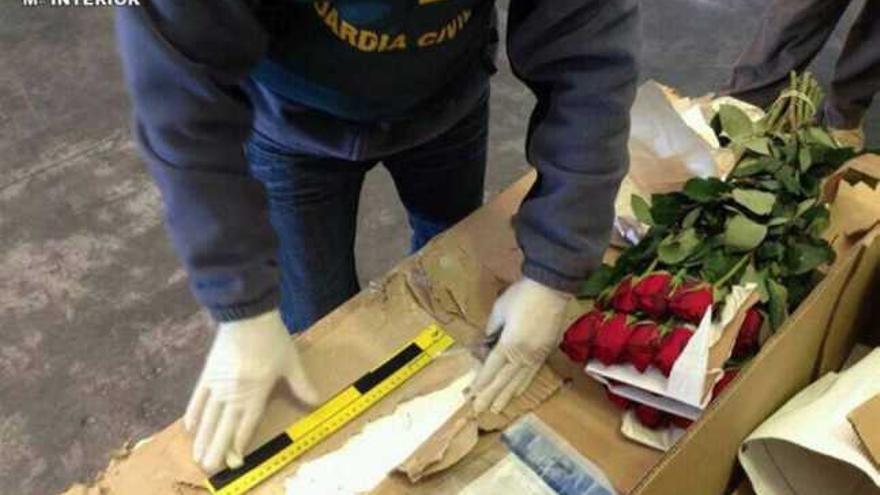 Intervenidos en Palma 15 kilos de cocaína en un envío de rosas