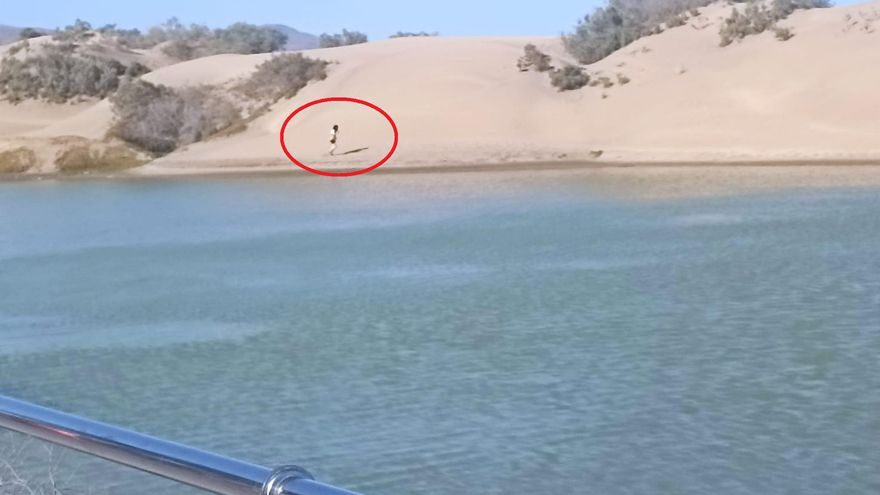 Una turista se salta las prohibiciones e invade una Reserva Natural Especial en Canarias