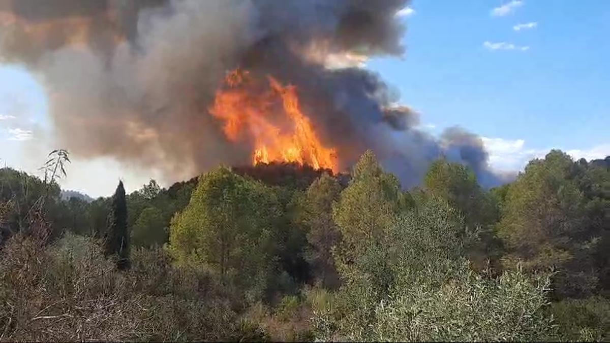 Declarado un incendio forestal en Simat de la Valldigna