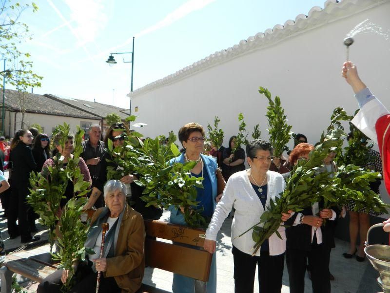 Procesión de Domingo de Ramos en Villaralbo