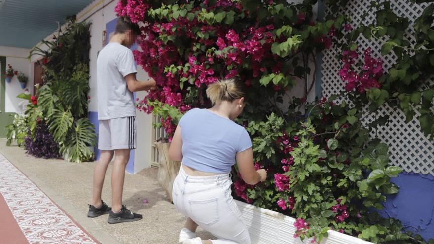Ultimando detalles: Usuarios del centro colocan algunas de las plantas en el patio.