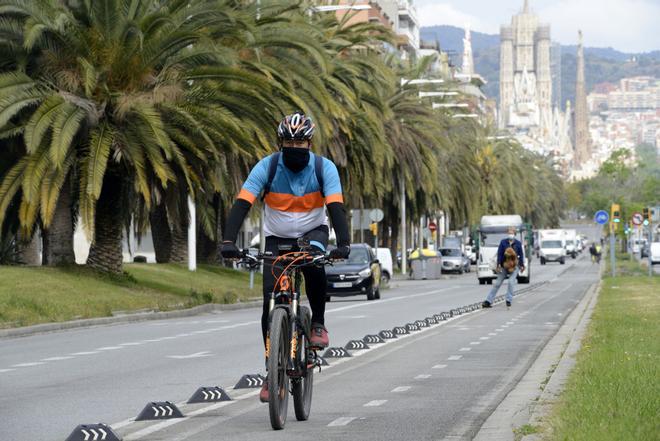 El Ayuntamiento de Barcelona aprueba trasladar de la acera a la calzada el carril bici de la calle de la Marina