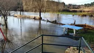 El río Aliste se desborda y arrasa el área de recreo de La Torre