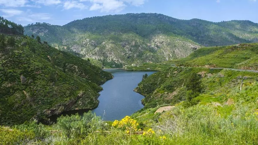 Presas de Gran Canaria tras el paso de la borrasca Therese