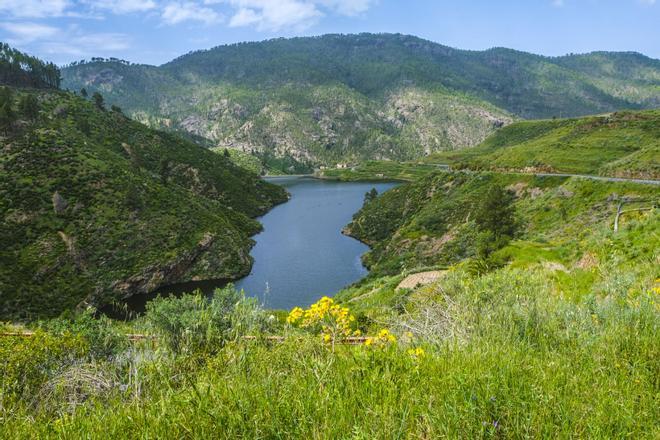 Presas de Gran Canaria, abril 2026