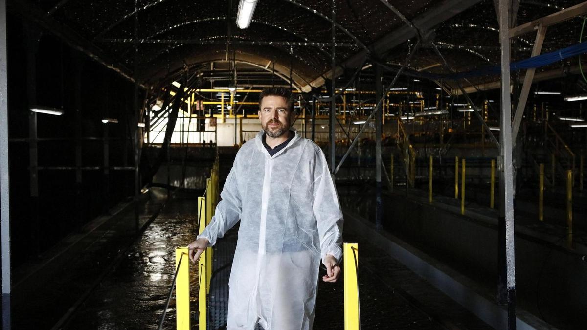 El pescado que acaba en tu plato se cultiva en Playa de Palma