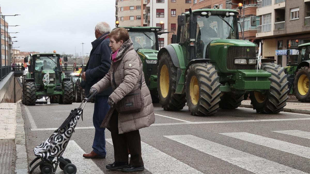 Tractorada por las calles de Zamora convocada por los sindicatos agrarios.