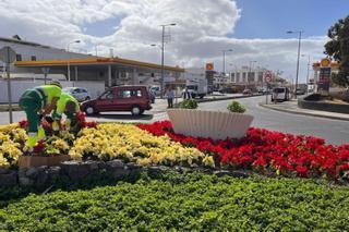 Arrecife embellece sus barrios con 12.000 flores de Pascua