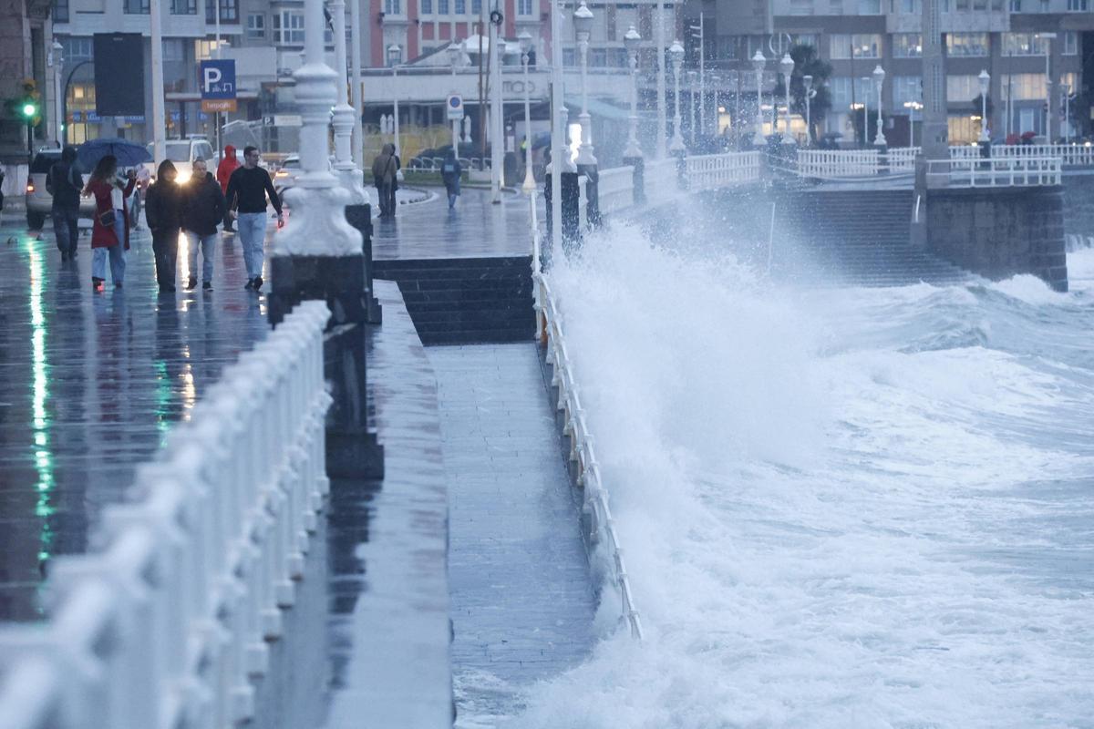 Del rescate de un perro en el mar a caídas de árboles, motos y antenas: los efectos del fuerte temporal de lluvia y viento en Gijón (en imágenes)