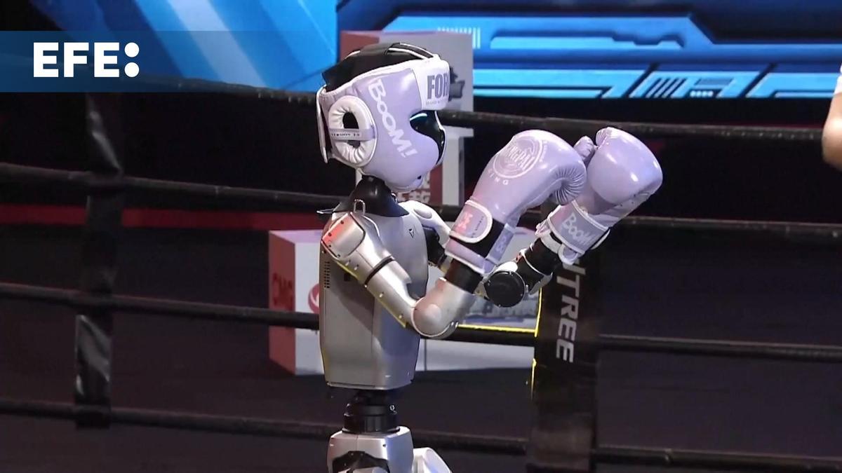 Imágenes del primer campeonato de boxeo entre robots humanoides en China