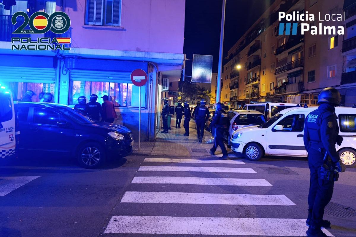Numerosos agentes participaron en la operación ayer en Son Gotleu.