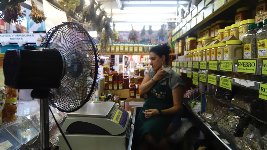 La climatización del Mercado Central de València podría tardar dos años