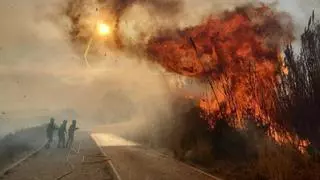 La Guardia Civil sospecha que el incendio del Saler pudo ser provocado