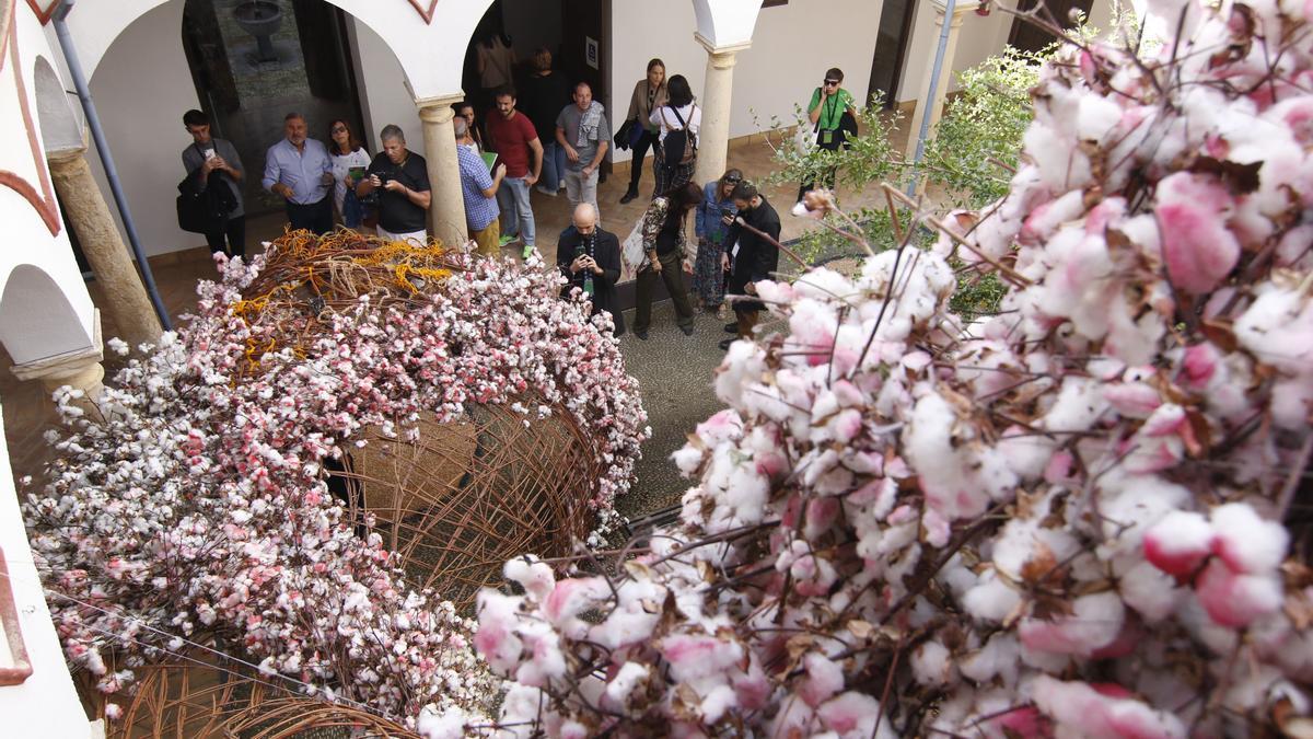 Intervención de Flor Motion en la Casa Góngora en una edición pasada del Festival Internacional Flora