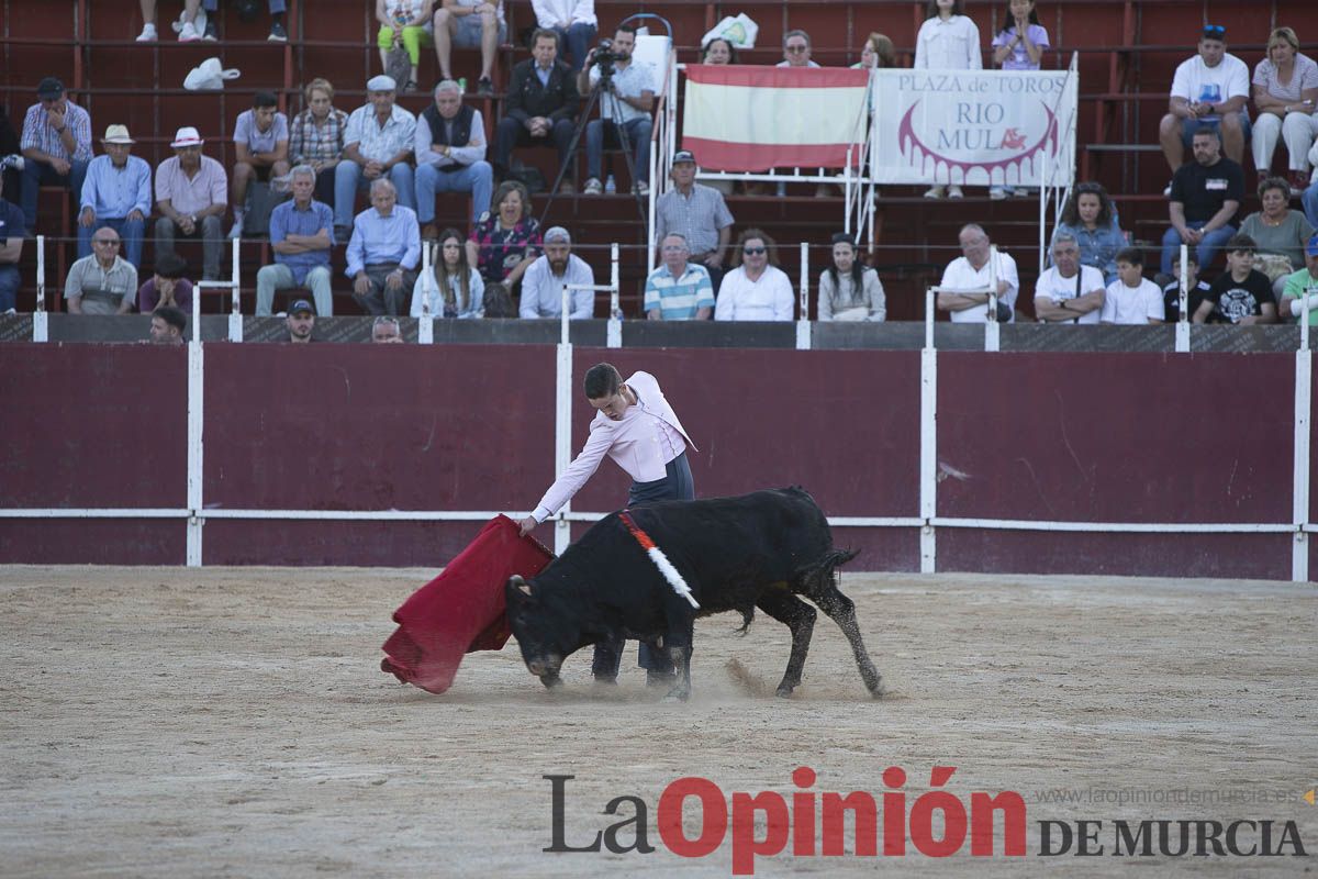 Festival taurino ‘La flor del almendro’ en Mula