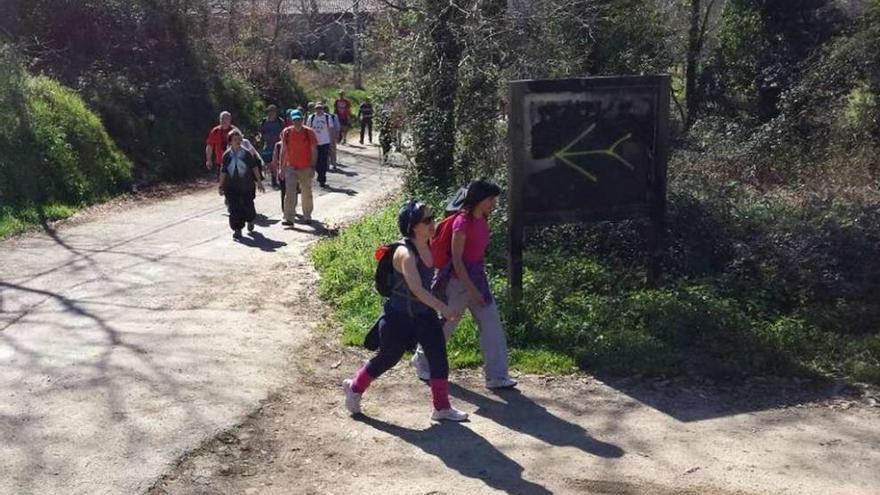 Una de las zonas donde fue destruida la señalización de la ruta, en Orbenlle. // D.P.