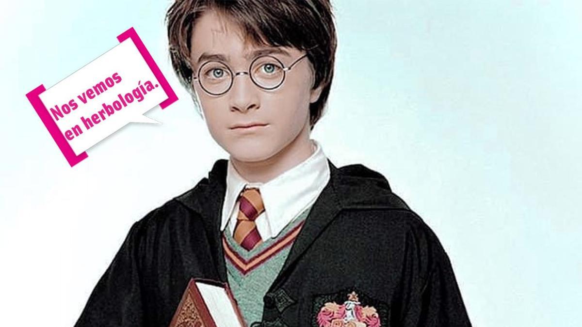 Harry Potter nuevos libros