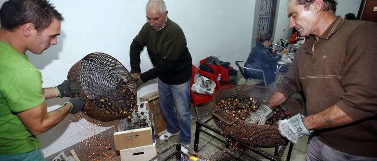 Tres hombres preparan las castañas en el magosto del año pasado. // Marta G. Brea