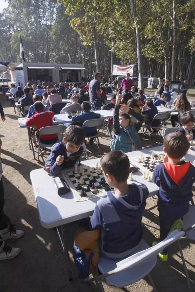 Campionat de Fires d'Escacs "Memorial Antoni Medinyà"