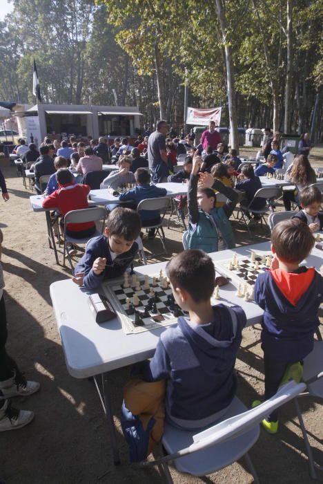 Campionat de Fires d''Escacs "Memorial Antoni Medinyà"