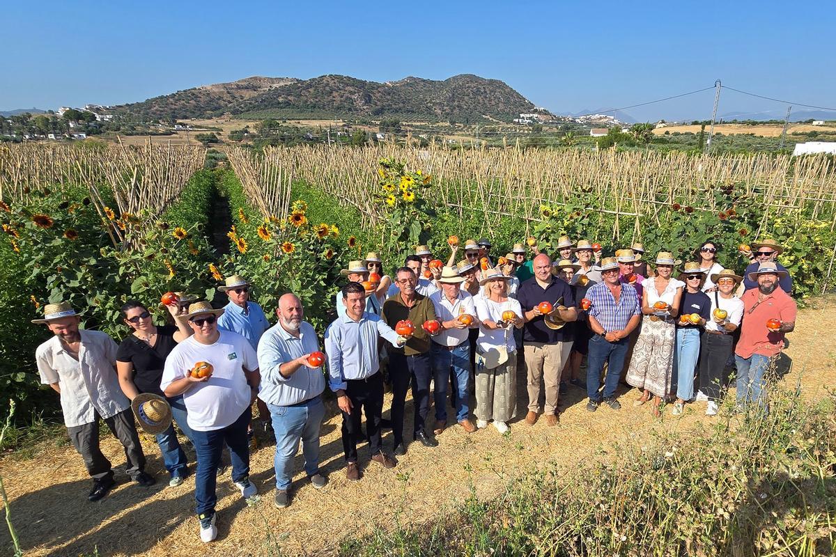 Alhaurín el Grande y Coín han acogido el inicio de la campaña de Tomate Huevo de Toro 2026.
