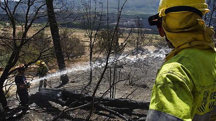 Bomberos y brigadistas repasaban ayer la zona afectada por el incendio en Alfafara para prevenir posibles rebrotes del fuego.